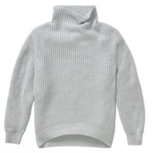 Aritzia Montpellier turtleneck sweater in grey